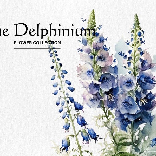 Watercolor Blue Delphinium Flowers Clipart Bundle - watercolor blue delphinium flowers 8 PNG format instant digital download commercial use