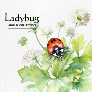 Coccinella Clipart, 8 PNG di alta qualità, Illustrazione dell'acquerello, Nursery Art, Download digitale, Cute Animal Clipart, Digital Paper Craft