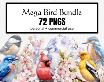 72 PNG Bird Mega Bundle Clipart, watercolor beautiful birds, chickadee, red cardinal, bluebird, instant digital download for commercial use