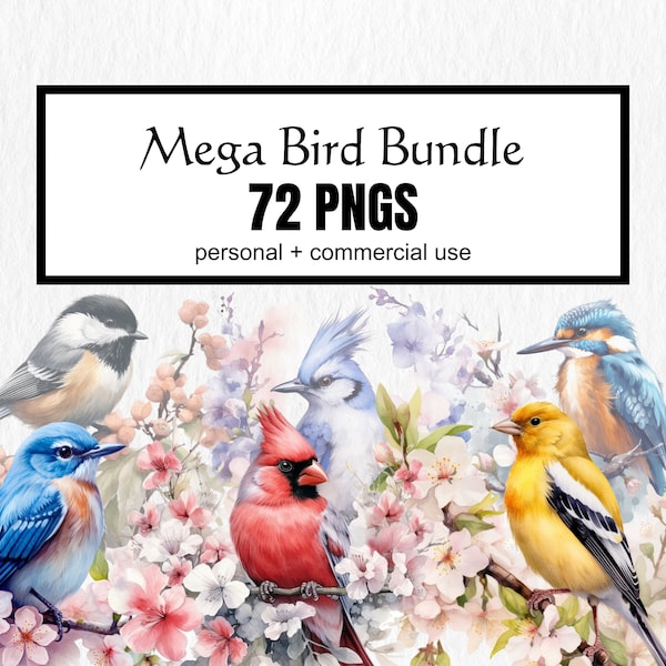 72 PNG Bird Mega Bundle Clipart, watercolor beautiful birds, chickadee, red cardinal, bluebird, instant digital download for commercial use