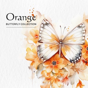 Acquerello Farfalle Orange Clipart Bundle - acquerello farfalle arancione 8 formato PNG download digitale istantaneo per uso commerciale