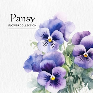 Watercolor Pansy Flowers Clipart Bundle - watercolor pansy flowers 8 PNG format instant digital download for commercial use