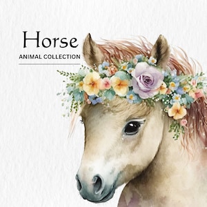Watercolor Horse Clipart Bundle - watercolor baby horse PNG format instant digital download for commercial use