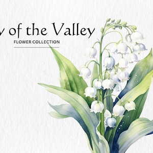 Aquarelle Muguet Clipart Bundle - aquarelle muguet fleur 8 PNG format téléchargement numérique instantané pour un usage commercial