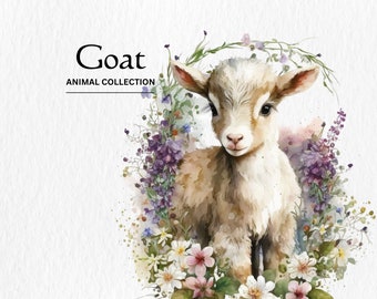 May include: Watercolor illustration of a baby goat surrounded by a floral wreath. The goat has light brown fur and is centered in the image. The text "Goat ANIMAL COLLECTION" is at the top left.