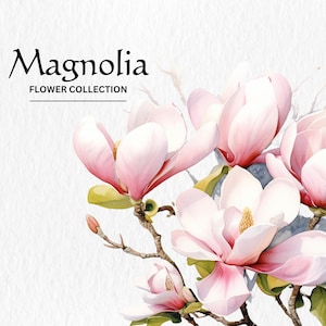 Aquarell Magnolien Blumen Clipart Bundle - Aquarell Magnolien Blumen 8 PNG format sofortiger digitaler Download für kommerzielle Nutzung