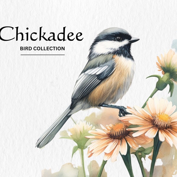 Chickadee Clipart, 8 High Quality PNGs, Nursery Art, Digital Download, Card Making, Cute Bird Clipart, Digital Paper Craft, Watercolor