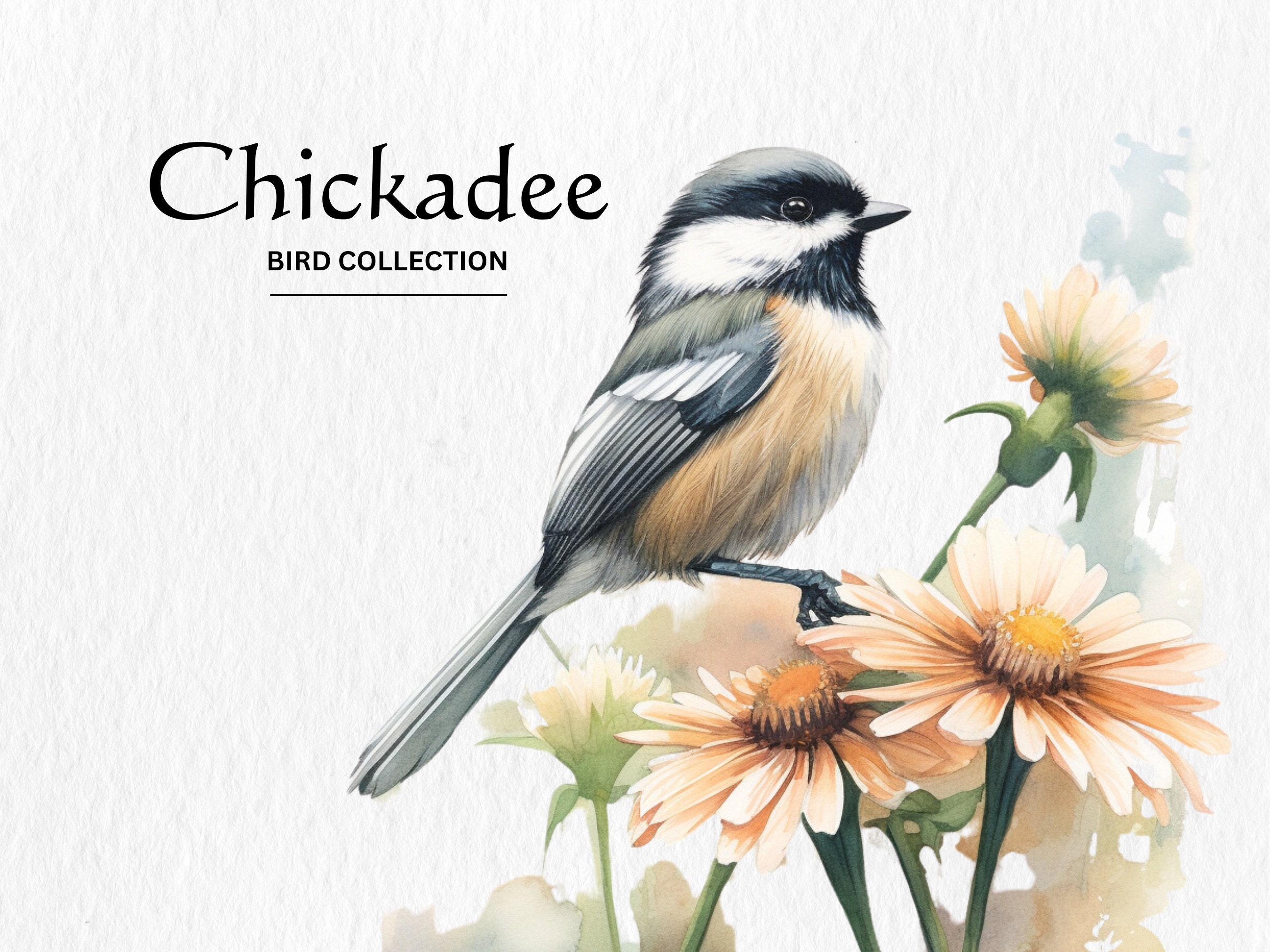 Chickadee Clipart, 8 High Quality PNGs, Nursery Art, Digital Download, Card Making, Cute Bird Clipart, Digital Paper Craft, Watercolor