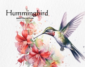 Hummingbird Clipart, 8 High Quality PNGs, Nursery Art, Digital Download, Card Making, Cute Bird Clipart, Digital Paper Craft, Watercolor