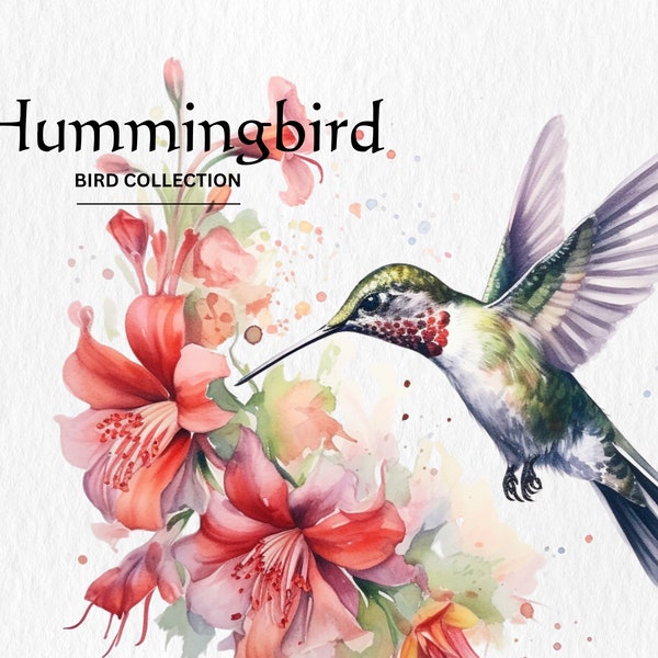 Hummingbird Clipart, 8 High Quality PNGs, Nursery Art, Digital Download, Card Making, Cute Bird Clipart, Digital Paper Craft, Watercolor