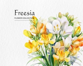Watercolor Freesia Flower Clipart Bundle: PNG Floral Graphics (Digital Download)