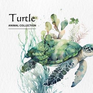 Aquarel Sea Turtle Clipart Bundle - aquarel zeeschildpadden PNG formaat instant digitale download voor commercieel gebruik