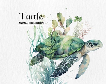 Watercolor Sea Turtle Clipart Bundle – PNG Digital Download
