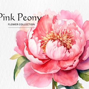 Aquarell rosa Pfingstrose Blumen Clipart Bundle - Aquarell rosa Pfingstrose Blumen 8 PNG format sofortiger digitaler Download für kommerzielle Nutzung
