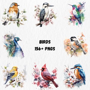 K&ouml;nnte beinhalten: Aquarellillustrationen verschiedener V&ouml;gel, darunter Rotkehlchen, Specht, Kolibri, Pfau, Kohlmeise, Goldammer, Kardinal und Eisvogel. Das Bild zeigt die W&ouml;rter "BIRDS" und "156+ PNGS".