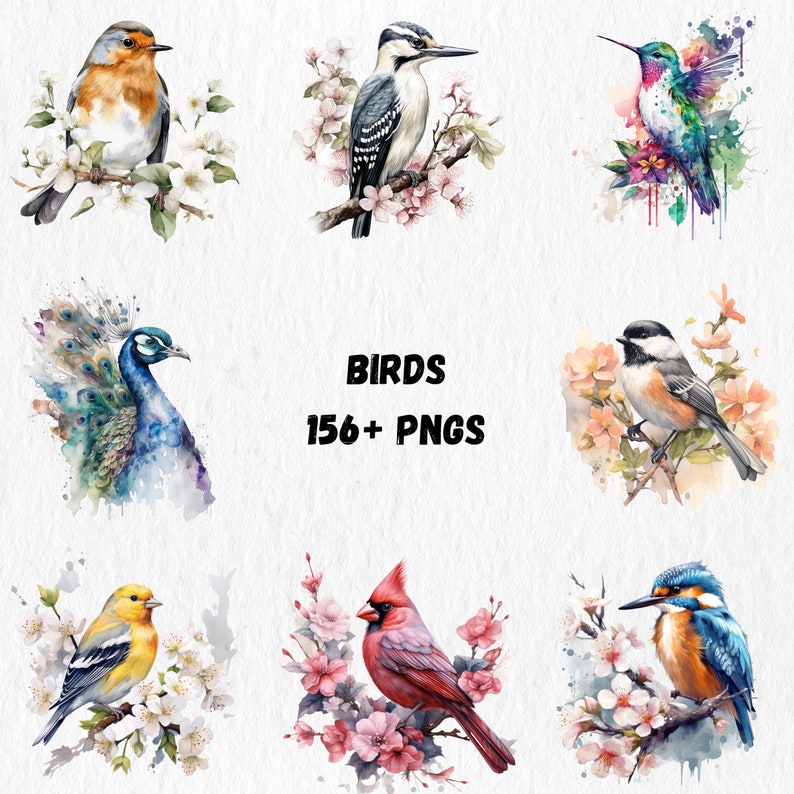 K&ouml;nnte beinhalten: Aquarellillustrationen verschiedener V&ouml;gel, darunter Rotkehlchen, Specht, Kolibri, Pfau, Kohlmeise, Goldammer, Kardinal und Eisvogel. Das Bild zeigt die W&ouml;rter "BIRDS" und "156+ PNGS".