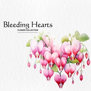 May include: Watercolor painting of pink bleeding heart flowers arranged in a heart shape. The flowers are painted in a realistic style with delicate details. The background is a soft white.