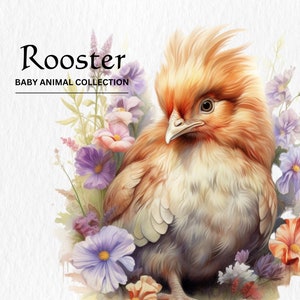 Puede incluir: Un pequeño gallo naranja y blanco esponjoso con una cresta roja se sienta en un lecho de flores moradas, rosadas y blancas. El texto "Rooster" y "Baby Animal Collection" está por encima del gallo.