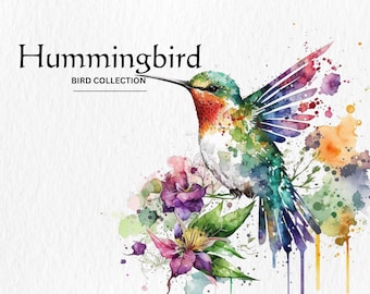 Watercolor Hummingbird Clipart Bundle - watercolor hummingbird PNG format instant digital download for commercial use