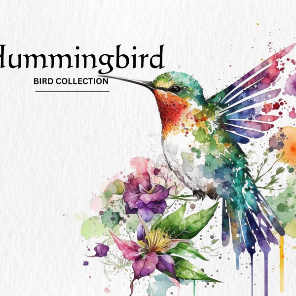 Watercolor Hummingbird Clipart Bundle - watercolor hummingbird PNG format instant digital download for commercial use