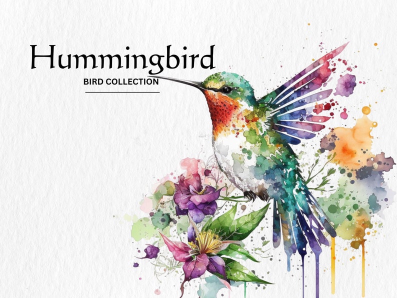 Puede incluir: Una pintura de acuarela de un colibr&iacute; con plumas vibrantes de color verde, azul y morado. El colibr&iacute; est&aacute; posado en una rama con flores rosas y moradas. El fondo es un lienzo blanco con salpicaduras de pintura de acuarela.