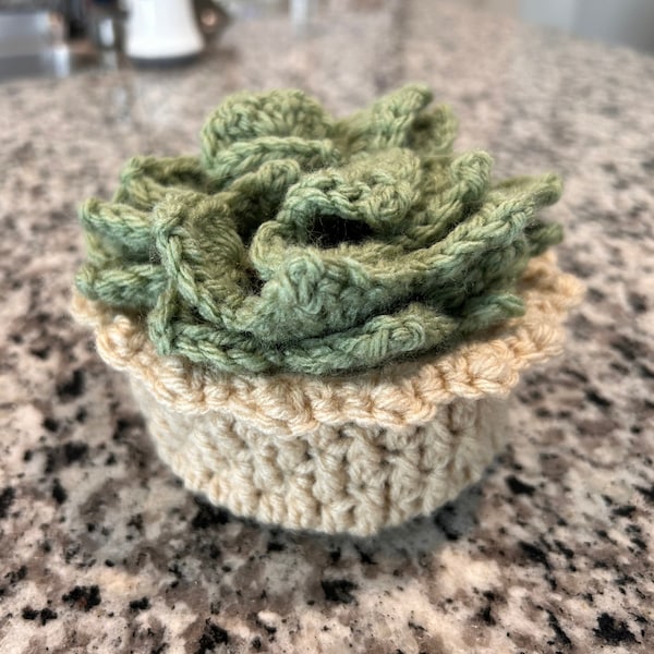 Crochet Succulent Coaster Pattern