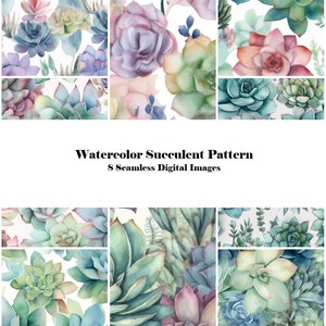 Modello succulente dell&#39;acquerello