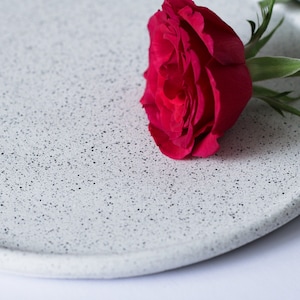 May include: A single red rose with green leaves lies on a white speckled ceramic plate.