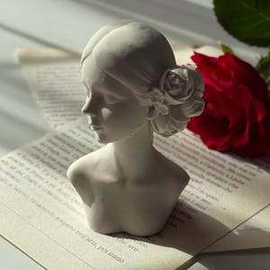 Puede incluir: Busto de mujer de yeso blanco con una flor en el pelo. El busto est&aacute; sentado en un libro con una rosa roja en el fondo.