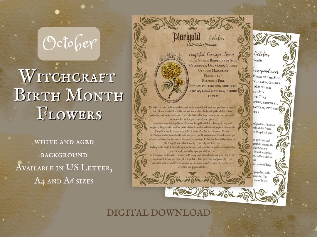October Birth Items Witchcraft October Birth Month Flower Guide, Marigold, Magickal ...