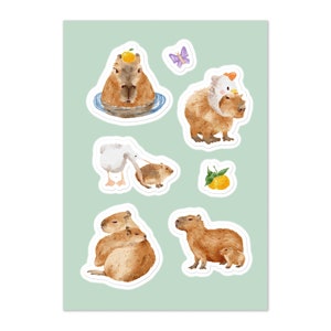 Cute funny capybara with a doughnut for capybara lovers Sticker for Sale  by Yarafantasyart in 2023