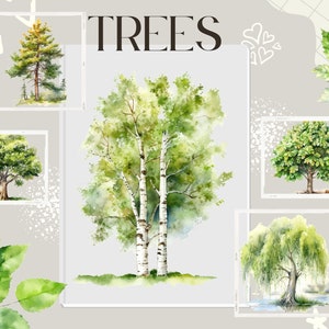 15 Watercolour Woodland Tree and Leaf Clipart Bundle, transparent PNG