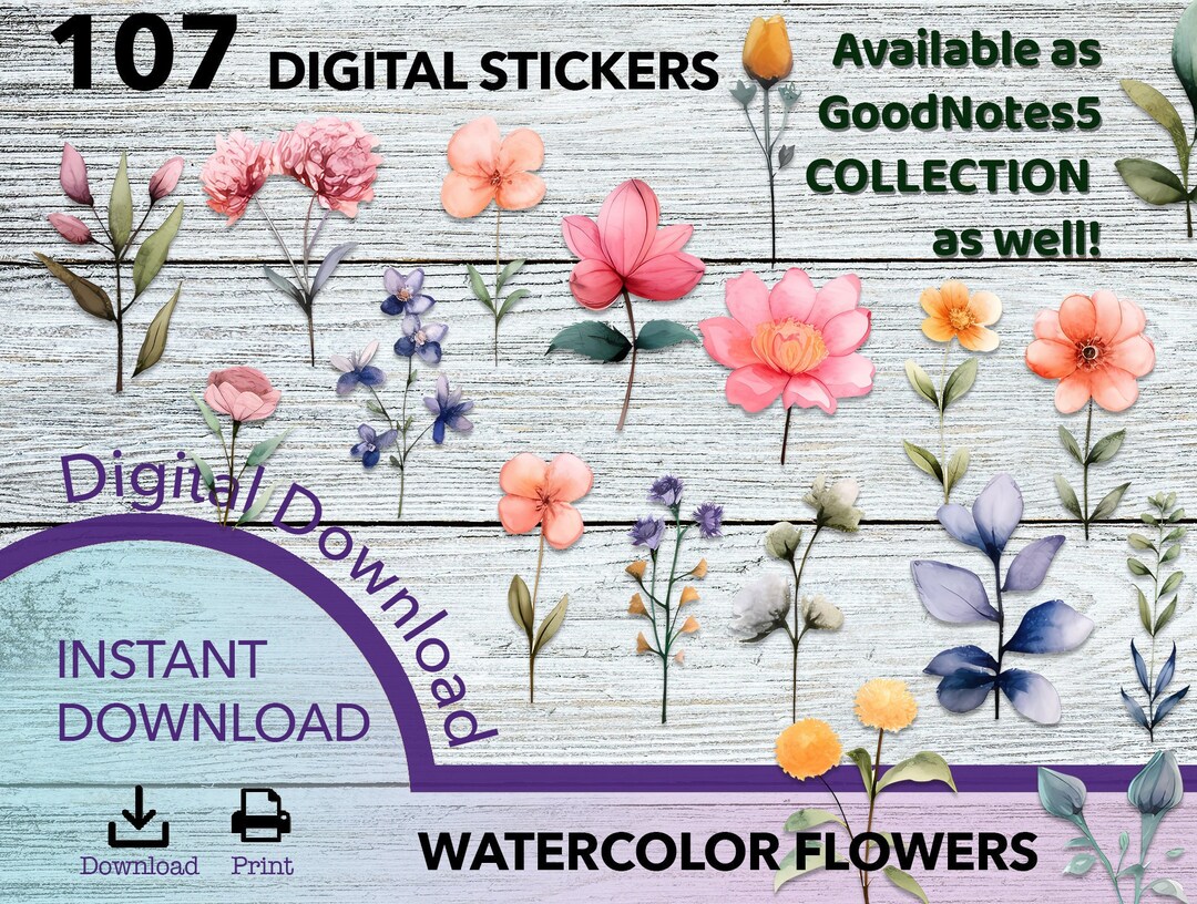 Flower PNG, Watercolor Stickers, Goodnotes5, Sticker Png Bundle ...