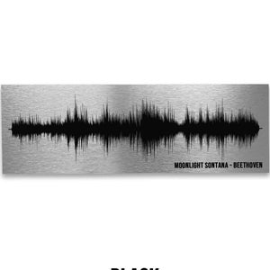 May include: A black and white sound wave graphic on a brushed metal background. The text "MOONLIGHT SONATANA - BEETHOVEN" is at the bottom of the graphic. The word "BLACK" is printed below the graphic.