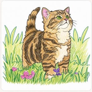 May include: A coloured pencil drawing of a brown tabby kitten with dark stripes, a white chest, and green eyes standing in a patch of green grass with small pink and purple flowers. The kitten has its tail held upright and is looking upwards.
