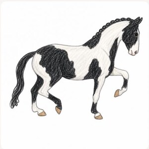 May include: A coloured pencil drawing of a piebald horse with a black and white coat. The horse is depicted in a side profile view, standing with one front leg lifted. It features a braided mane, a long tail, and light brown coloured hooves.