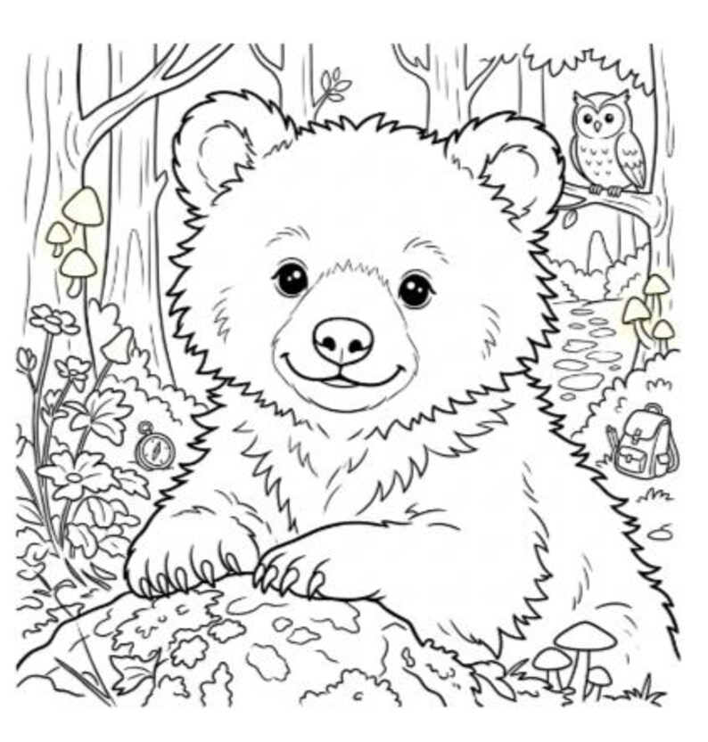 May include: A black and white line art colouring page featuring a smiling bear cub resting its paws on a mossy rock. The scene includes a forest background with trees, an owl perched on a branch, various mushrooms, wildflowers, and a small backpack.