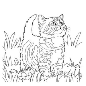 May include: A black and white line art illustration of a tabby kitten standing in a patch of grass and clover. The kitten has pointed ears, whiskers, and a striped coat pattern, looking upward with its tail held high in the air.