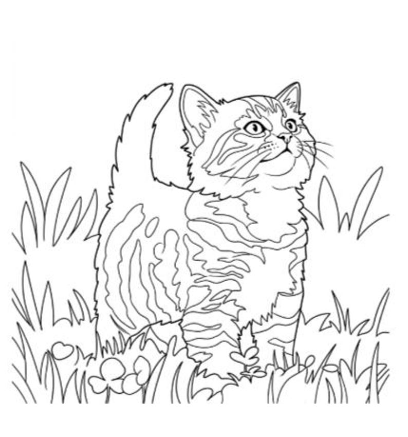 May include: A black and white line art illustration of a tabby kitten standing in a patch of grass and clover. The kitten has pointed ears, whiskers, and a striped coat pattern, looking upward with its tail held high in the air.