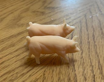 YorkShire Piglets!