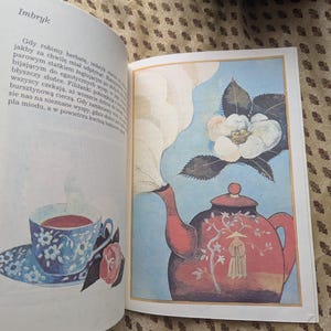 Livre pour enfants polonais rétro vintage Pologne style romantique girly Illustrations cottagecore Design graphique estampes Bańki Mydlane Beszczyńska
