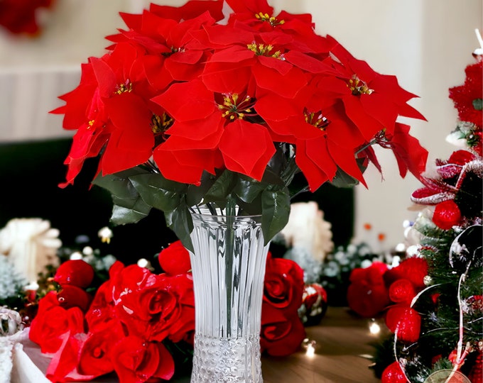 Poinsettia Red in 13cm Pot - Etsy UK
