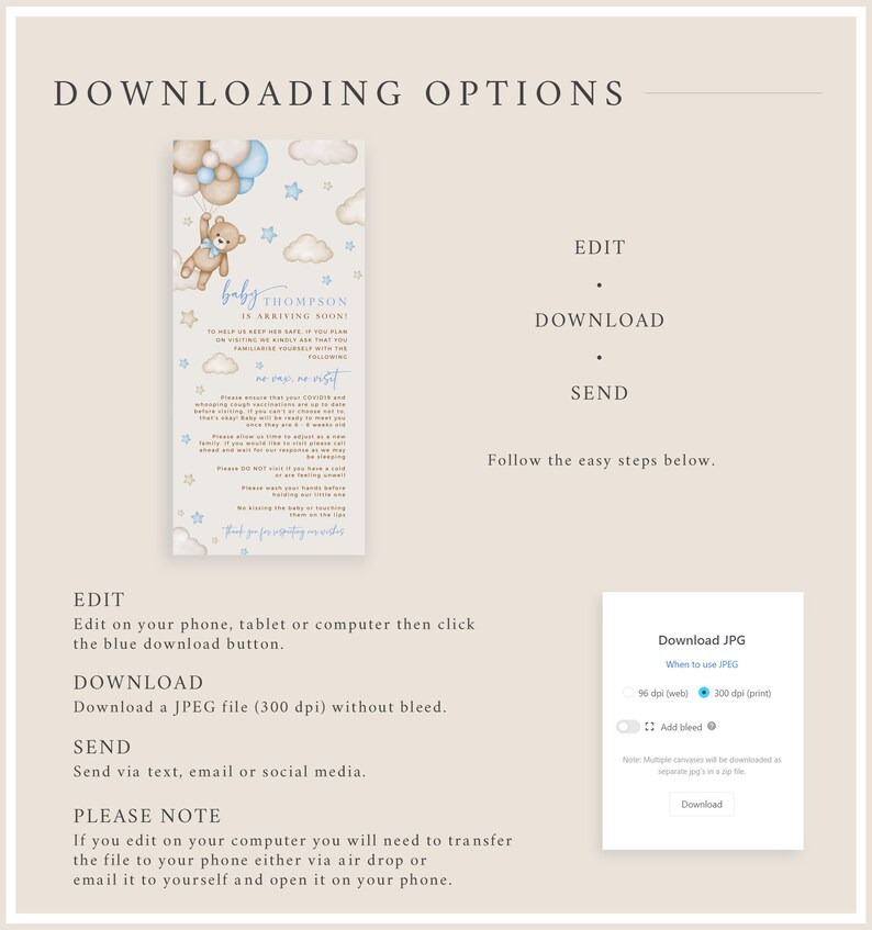 Digital New Baby Rules for Visitors Boy Electronic Newborn Rules for Visiting, Teddy Bear Editable Newborn Visitor Information Template 13A image 4