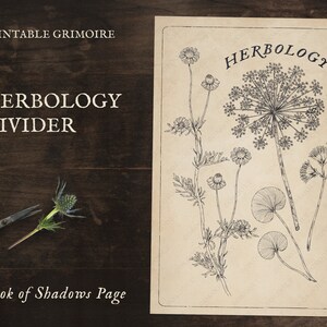 Herbology Divider Page • Grimoire Pages, Book of Shadows Pages, Printable, Digital Download, Witch Journal, Herb Magic, Colouring Page