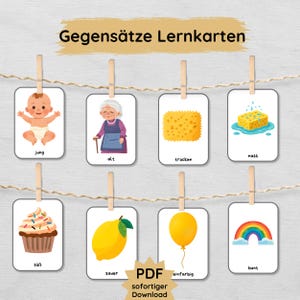 Könnte beinhalten: Acht Lernkarten, die mit Holzklammern an einer Schnur hängen, zeigen Illustrationen von Gegensätzen mit deutschen Textbeschriftungen, darunter ein Baby, eine ältere Person, ein trockener Schwamm, ein nasser Schwamm, ein Cupcake, eine Zitrone, ein Luftballon und ein Regenbogen.