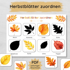 Gioco di abbinamento delle ombre delle foglie autunnali da stampare per i bambini, gioco di abbinamento delle foglie autunnali per l'asilo nido e la scuola materna