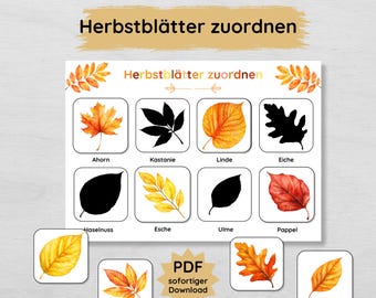 May include: A printable educational game for kids to learn about different types of autumn leaves. The game features a set of colorful leaf illustrations and matching silhouettes. The text on the game says "Herbstblätter zuordnen" which translates to "Match the autumn leaves".