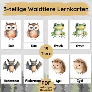 15 Lernkarten mit niedlichen Waldtieren, dreiteilige Bildkarten für Kinder zum Kennenlernen verschiedener Tiere im Wald