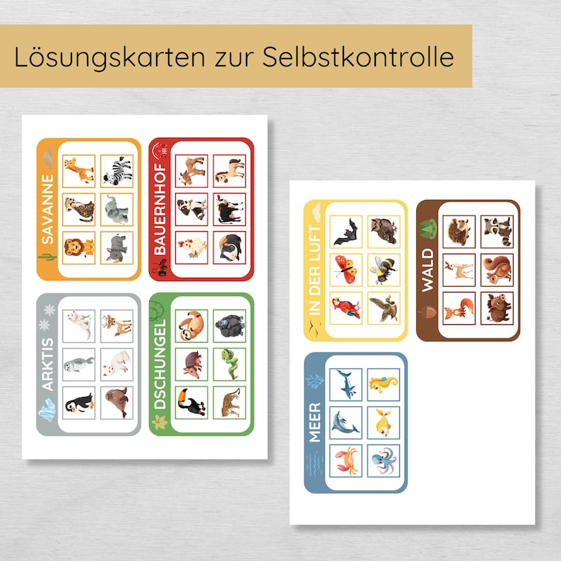 Lernspiel für Kinder Tiere zuordnen