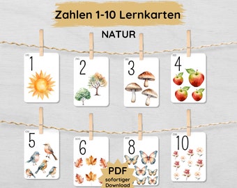 Nature number cards 1-10 for children to print out, number flashcards to practice counting up to 10